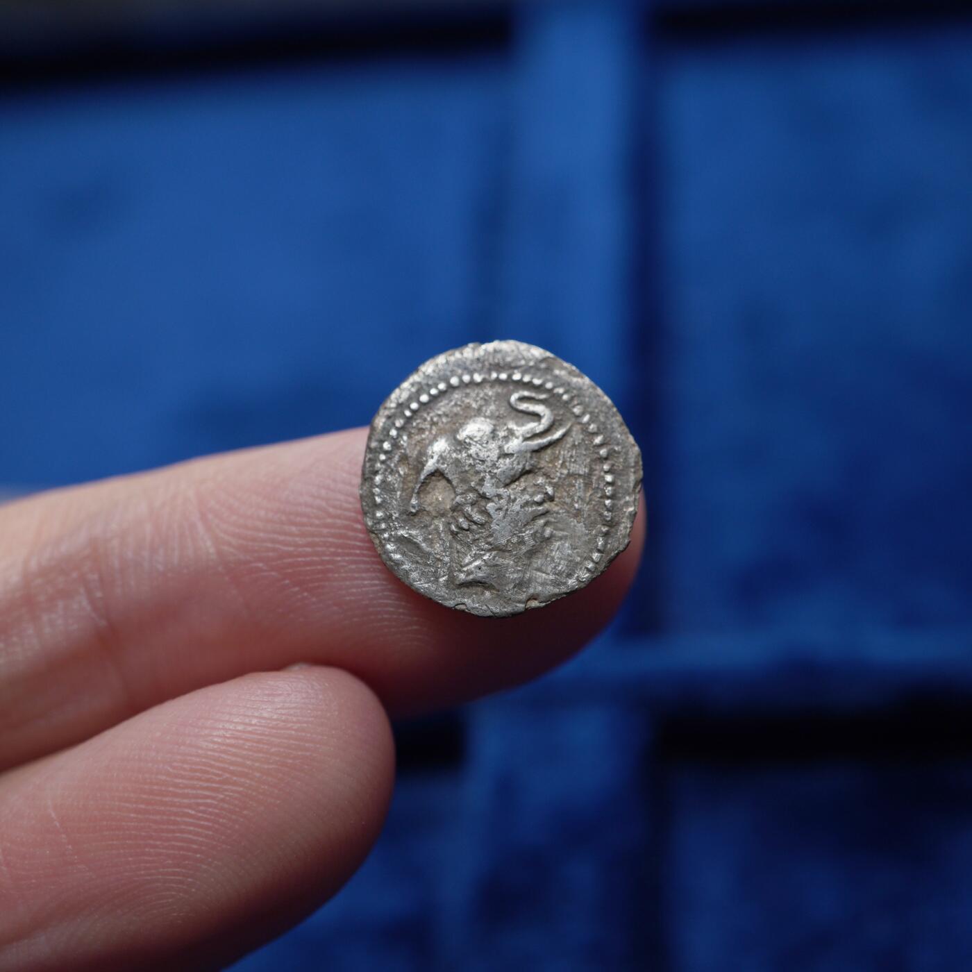 琋语集藏2026年04月欧洲古典打制币拍卖 古希腊巴克特里亚王国-德米特里乌斯一世象盔银币