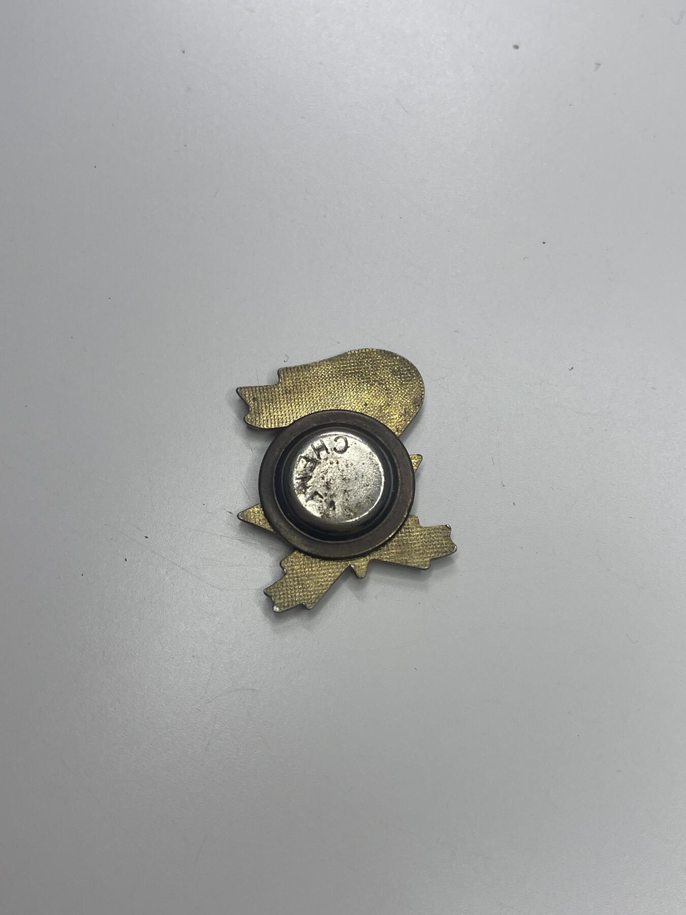 新时代收藏快速小拍 拍卖本周一线所得新货 3月29日场 全国少工委证章 发给参与少先队建设的老师们 3号 不同版本 大尺寸磁吸版