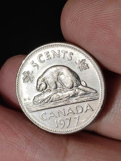 猩哥外币小铺➨【第226场】 - 加拿大