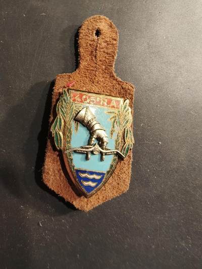 老王徽章第190期 - 法国陆军第405防空炮兵团证章