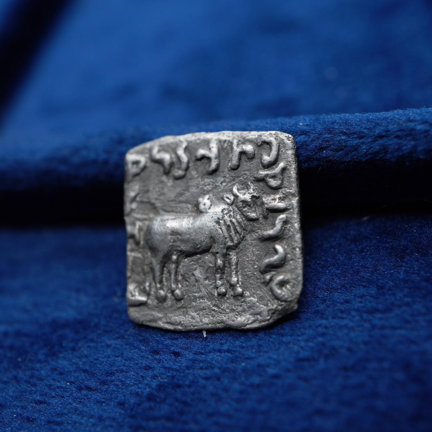 琋语集藏2026年04月欧洲古典打制币拍卖 希腊-印度 巴克特里亚 阿波罗多图斯一世 大象方形银币