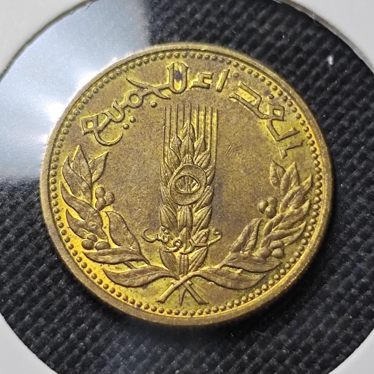 KK钱币收藏小铺  第410期 2月预留时间 周末发货