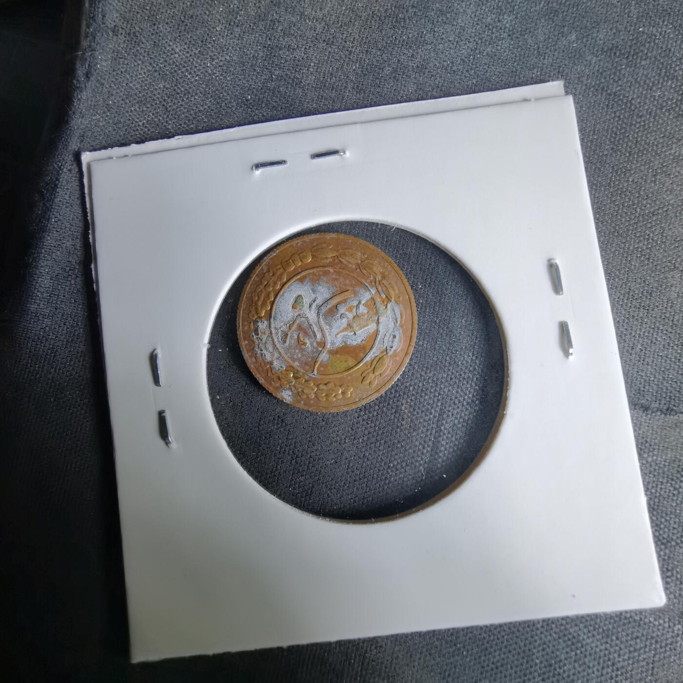 沼泽如烟--第1037场 伊朗代币