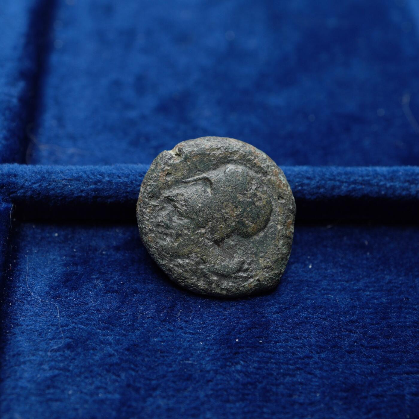 琋语集藏2026年04月欧洲古典打制币拍卖 古希腊西西里叙拉古-雅典娜与带翼海马铜币