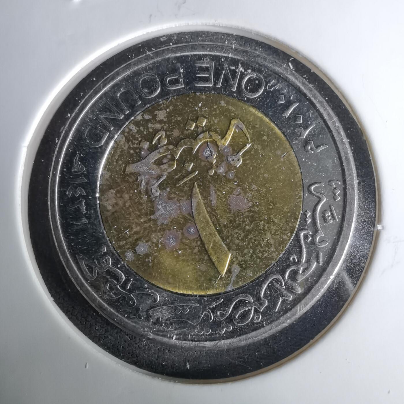 沼泽如烟--第1037场 埃及