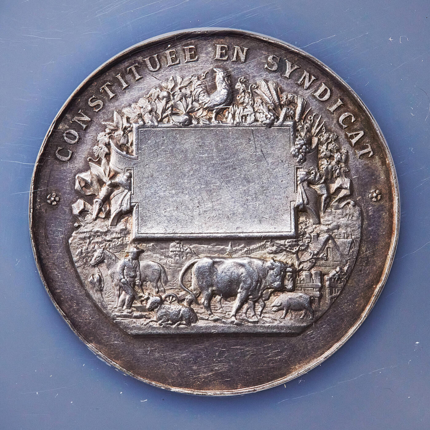 【俄甄集藏】2026年(050)04-01星期三 晚 19:30 全场包邮 法国19世纪玛丽安娜月桂叶冠少见头像版纪念洛什农业、葡萄种植与园艺协会表彰大银章，NGC UNCD，直径：52mm，原味五彩老包浆，高浮雕，少见品种