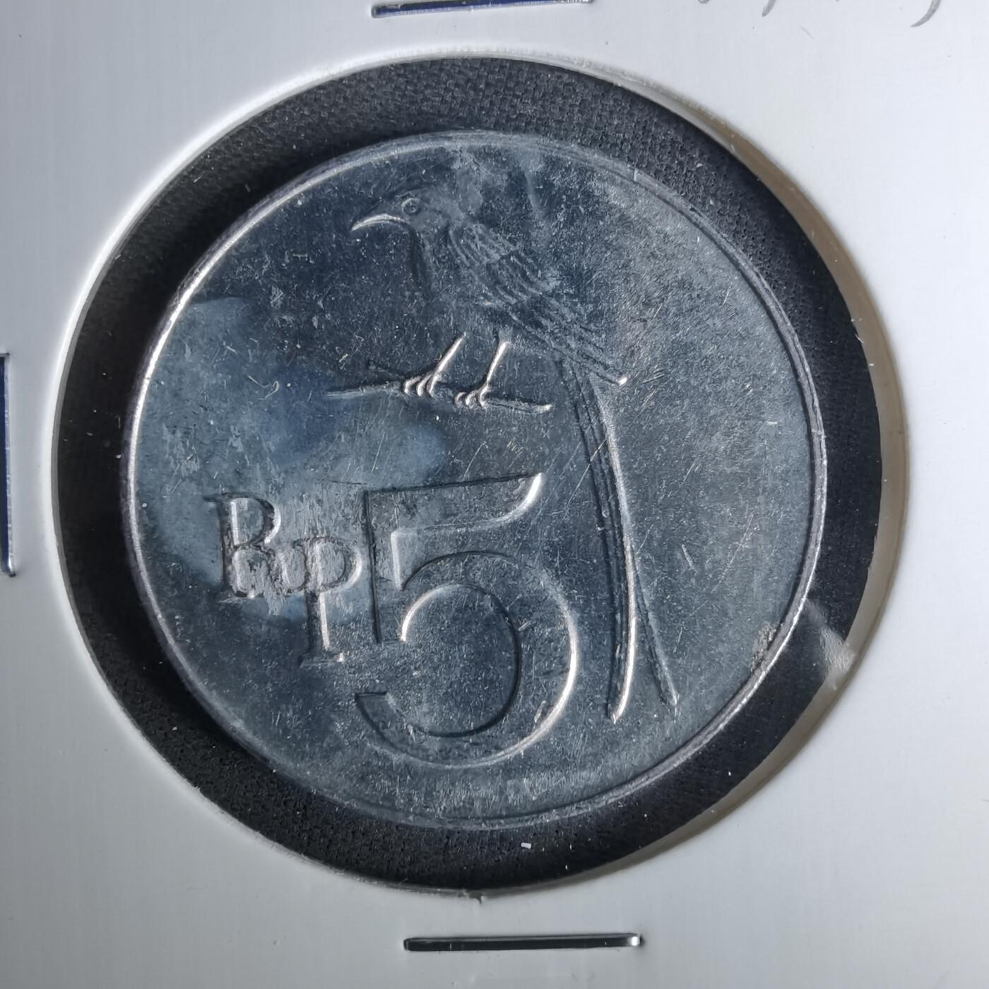 沼泽如烟--第1037场