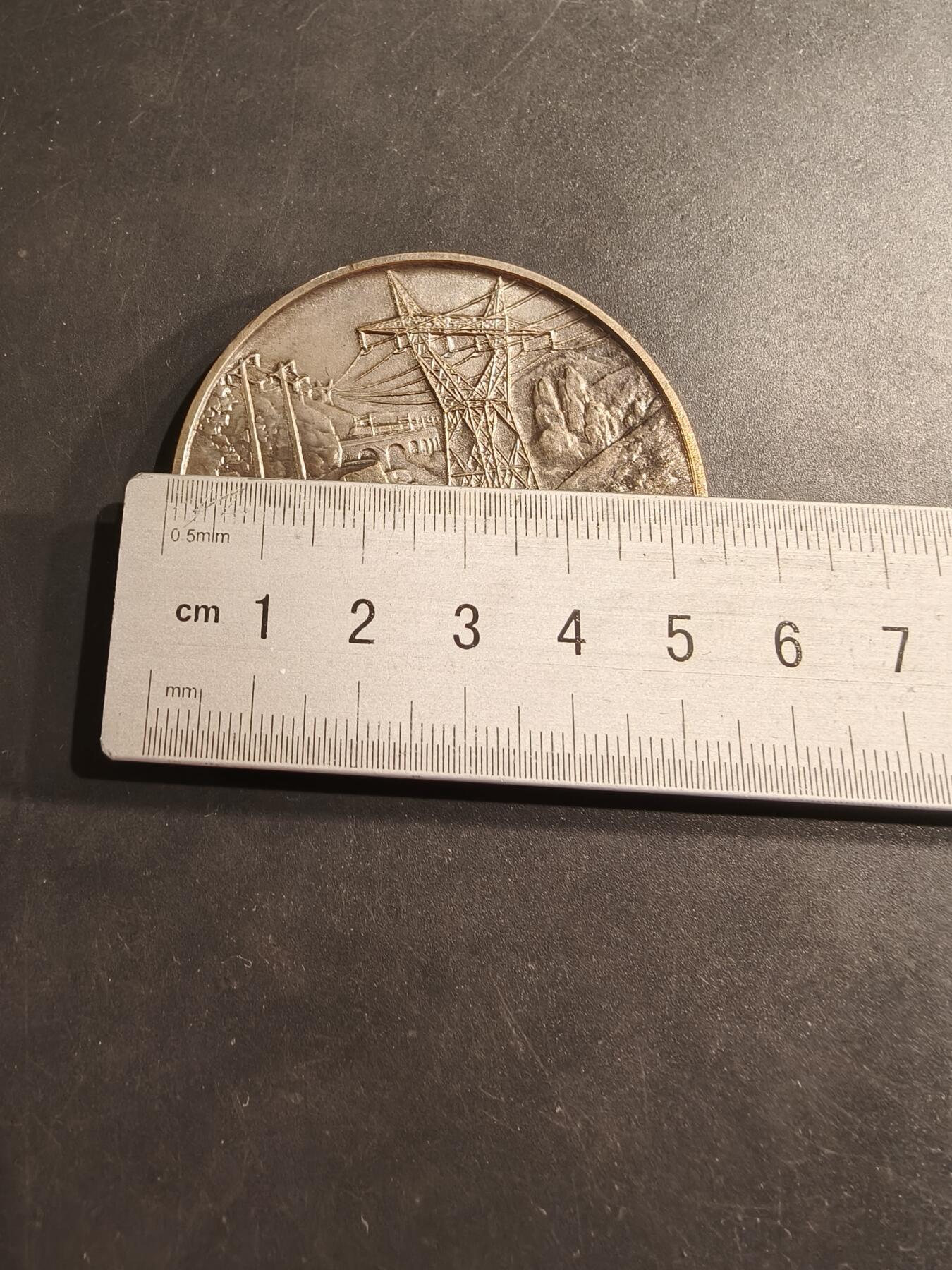 老王徽章第190期 法国电气网络、发电厂、公共与工业电气工程承包商联合会镀银大铜章      直径54mm     重量78.6g