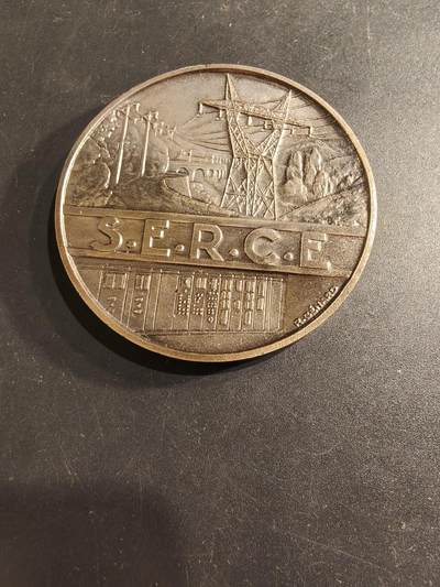 老王徽章第190期 - 法国电气网络、发电厂、公共与工业电气工程承包商联合会镀银大铜章      直径54mm     重量78.6g