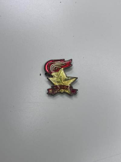 新时代收藏快速小拍 拍卖本周一线所得新货 3月29日场 - 全国少工委证章 发给参与少先队建设的老师们