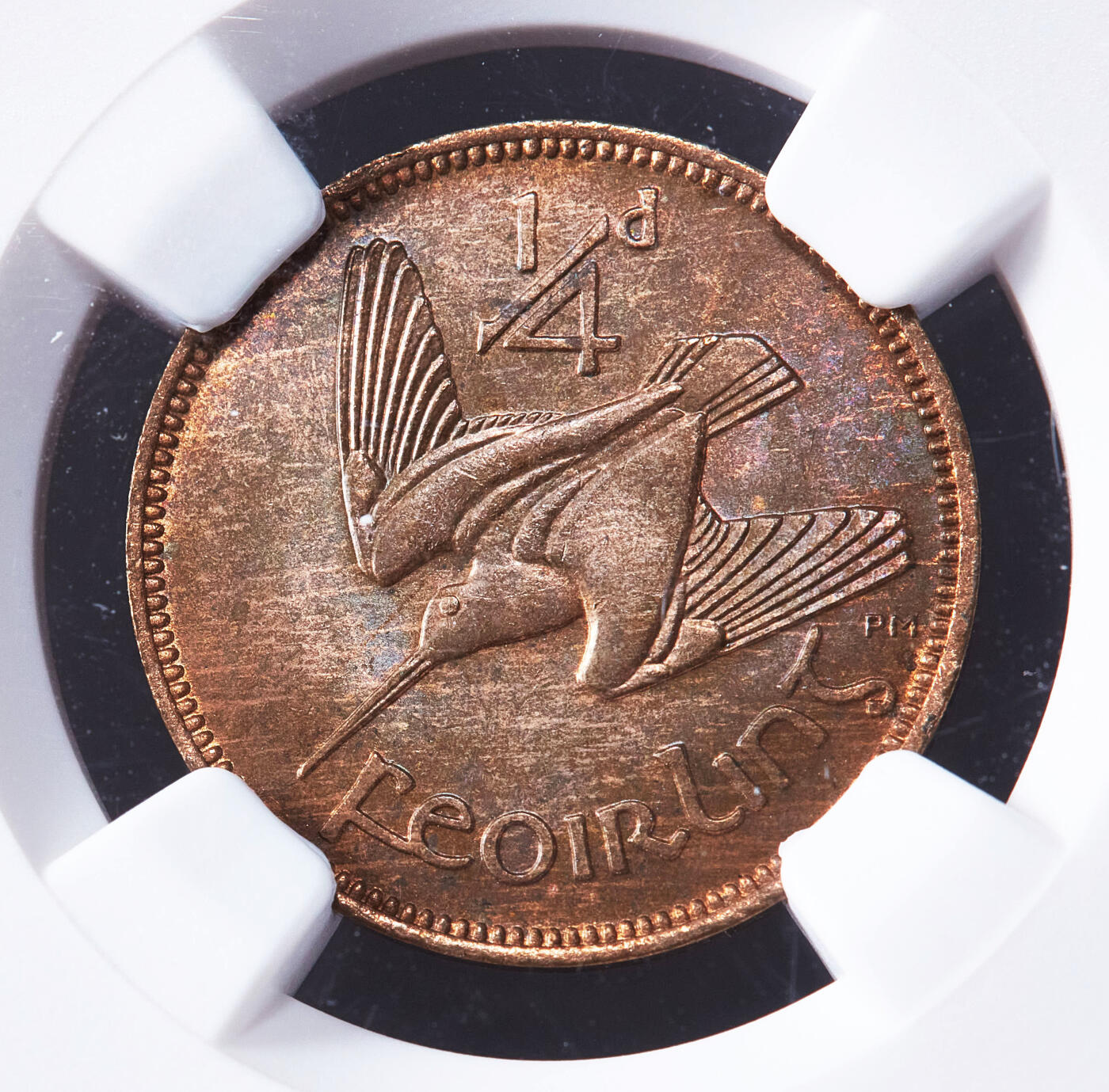 【俄甄集藏】2026年(050)04-01星期三 晚 19:30 全场包邮 爱尔兰1953年丘鹬1/4便士铜币，NGC MS65RB，原铜色，转光品相