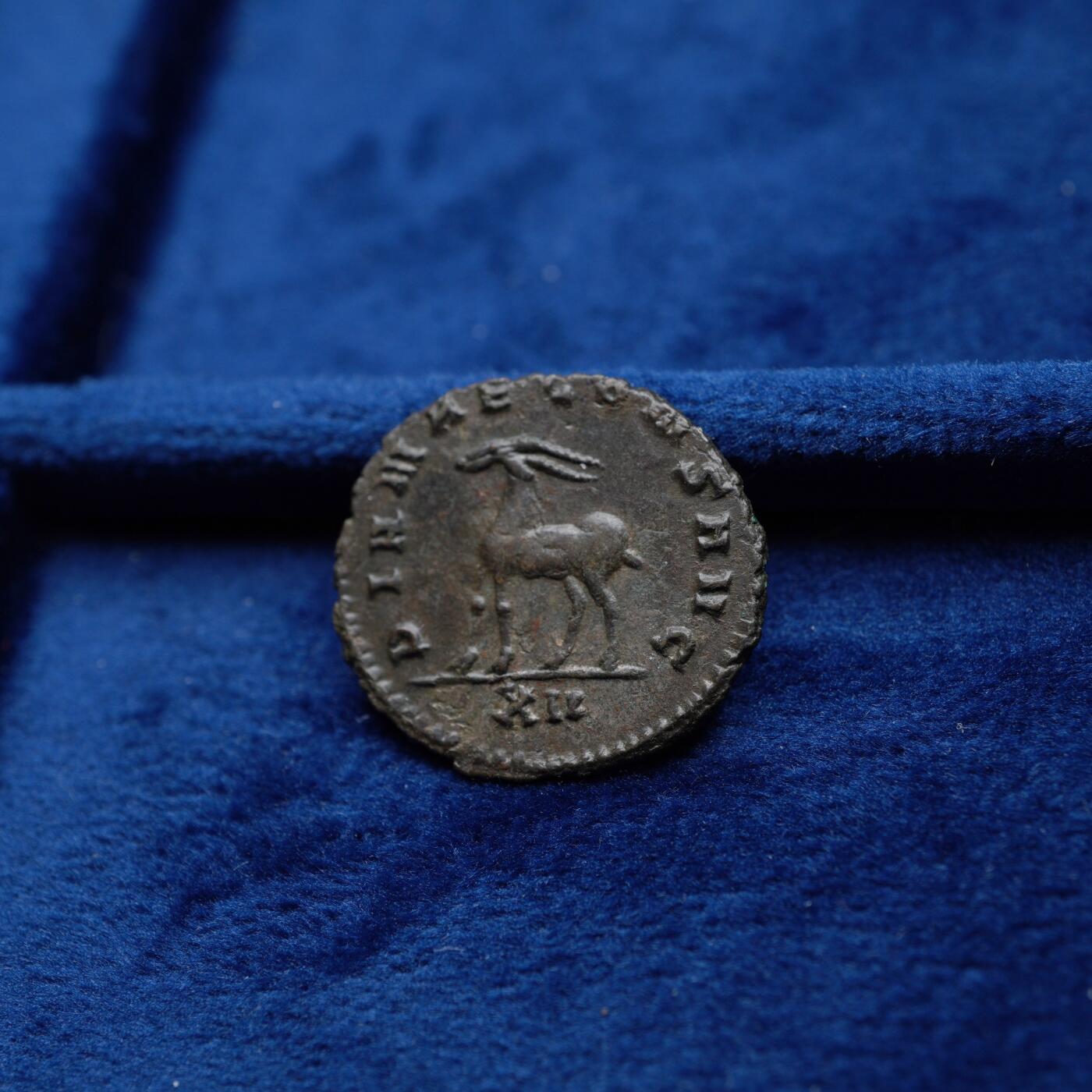 琋语集藏2026年04月欧洲古典打制币拍卖 古罗马帝国加里恩努斯-羚羊铜币