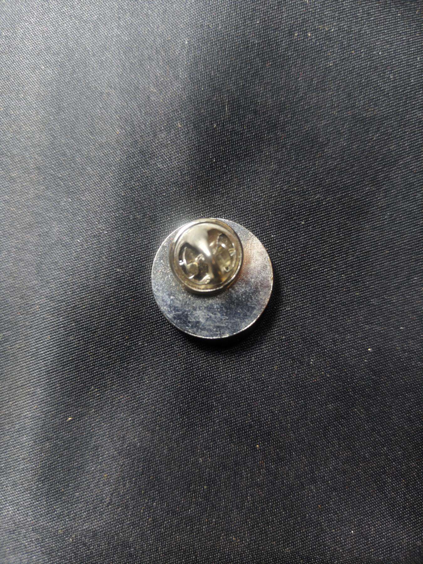 云宸嘉赏-勋臻文献佳藏优品精选场次（低佣 转发佣金红包） 联邦德国2001“Der 1. Stern für Deutschland”（德国的第一颗星）证章 