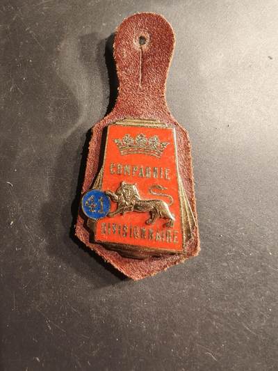 老王徽章第190期 - 法国陆军第41师级连队证章