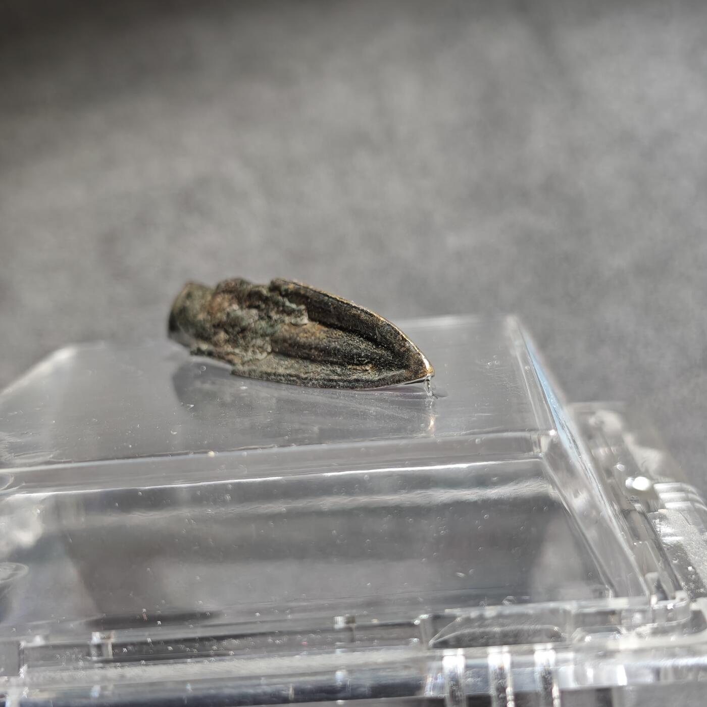 大象古币古希腊古罗马钱币专场首次拍卖1 公博评级80战国汉代三翼形青铜箭镞箭头战国时期的狙击步枪子弹特别锋利制造打磨精美