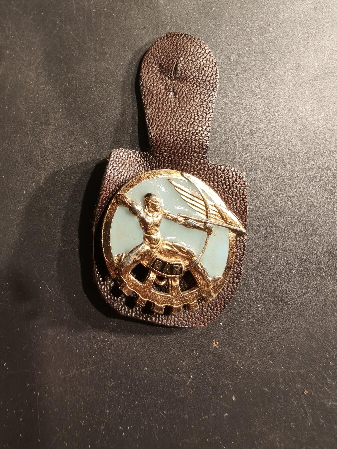 老王徽章第190期 法国罗什福尔空军基地证章