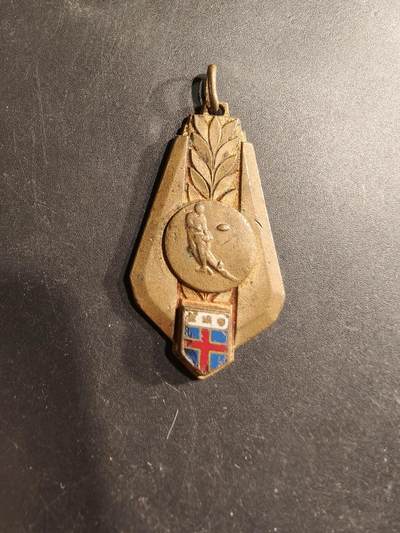 老王徽章第190期 - 法国体育纪念章