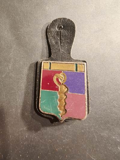 老王徽章第190期 - 法国武装部队医疗服务预备军官学校证章      该校曾位于法国利布尔讷，专门培训法国军队医疗服务的预备役军官