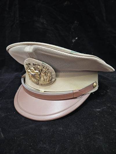 0元起拍勋章 第343期 咸鱼国勋章拍卖专场 4月1日（周三）下午6：00开始 - 消防团夏服大檐帽 58CM