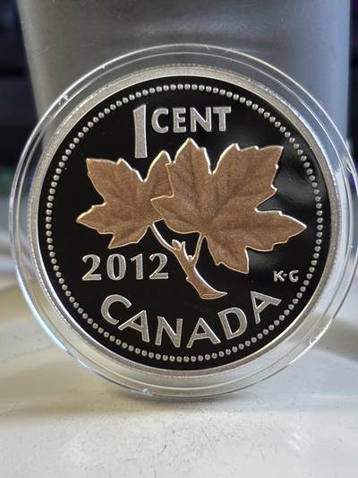 第194期拍卖 - 加拿大2012年枫叶系列镀金玫瑰金15.87克纪念银币，9999银，发行30000枚