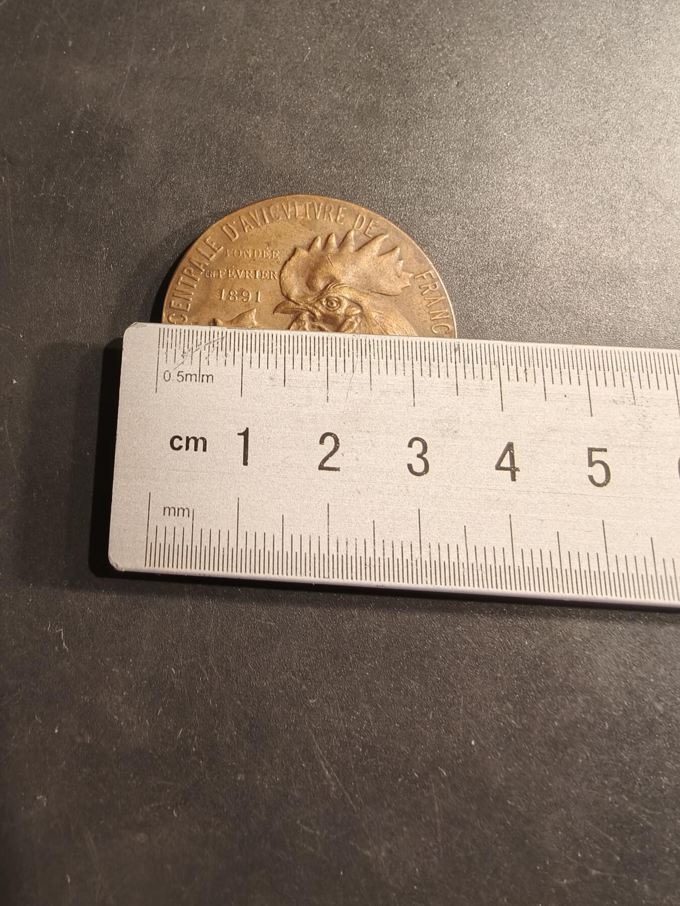 老王徽章第190期 法国中央鸟类饲养协会大铜章     直径36mm    重量23.8g