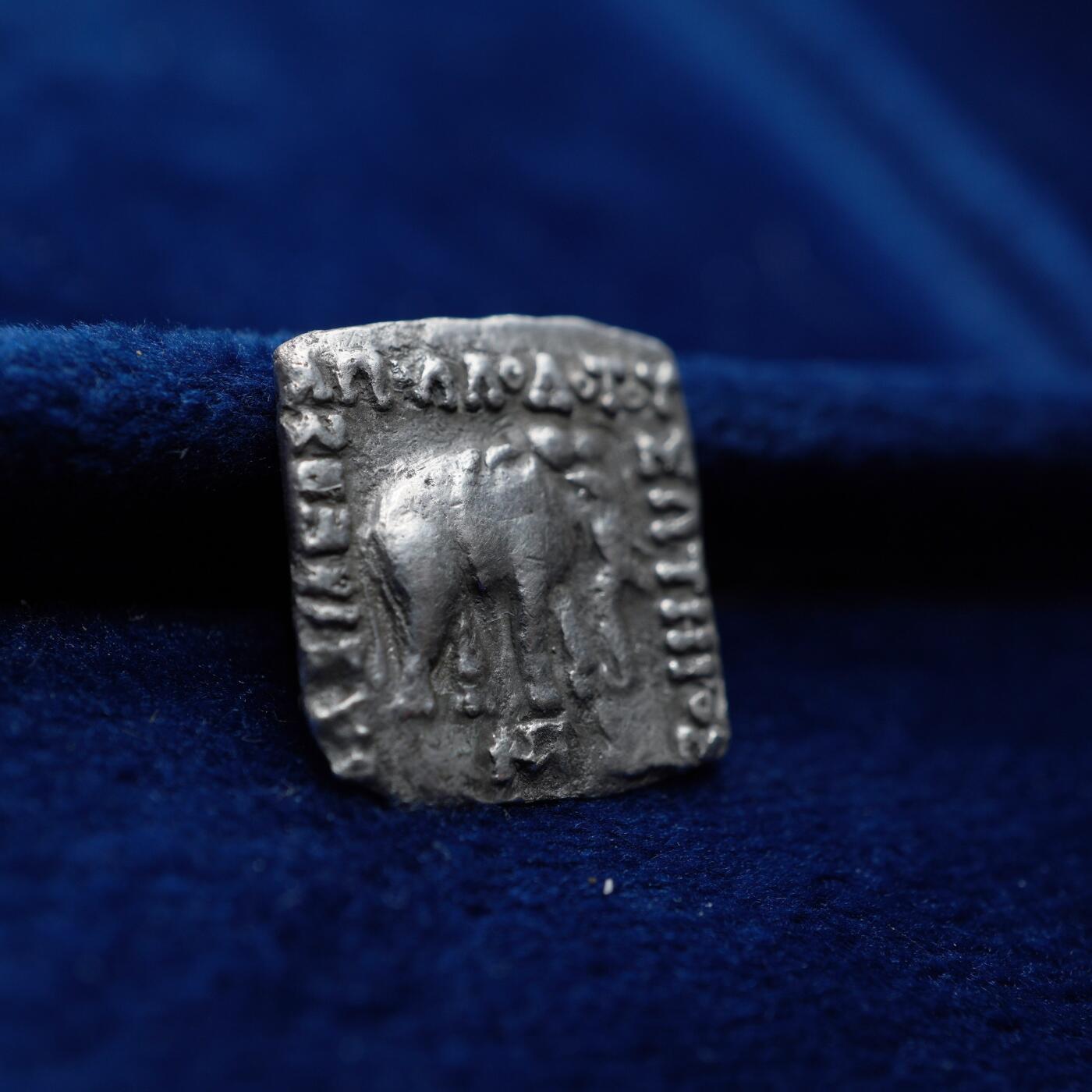 琋语集藏2026年04月欧洲古典打制币拍卖 希腊-印度 巴克特里亚 阿波罗多图斯一世 大象方形银币