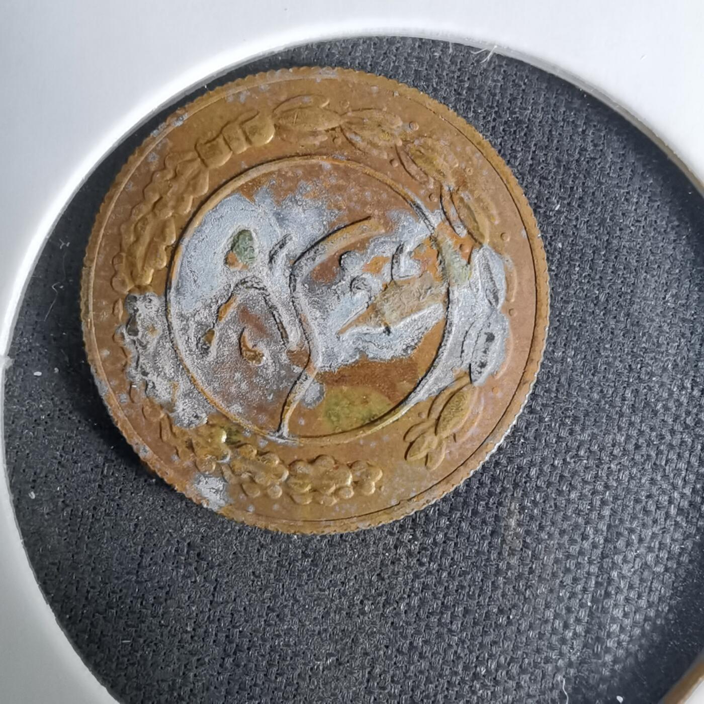 沼泽如烟--第1037场 伊朗代币