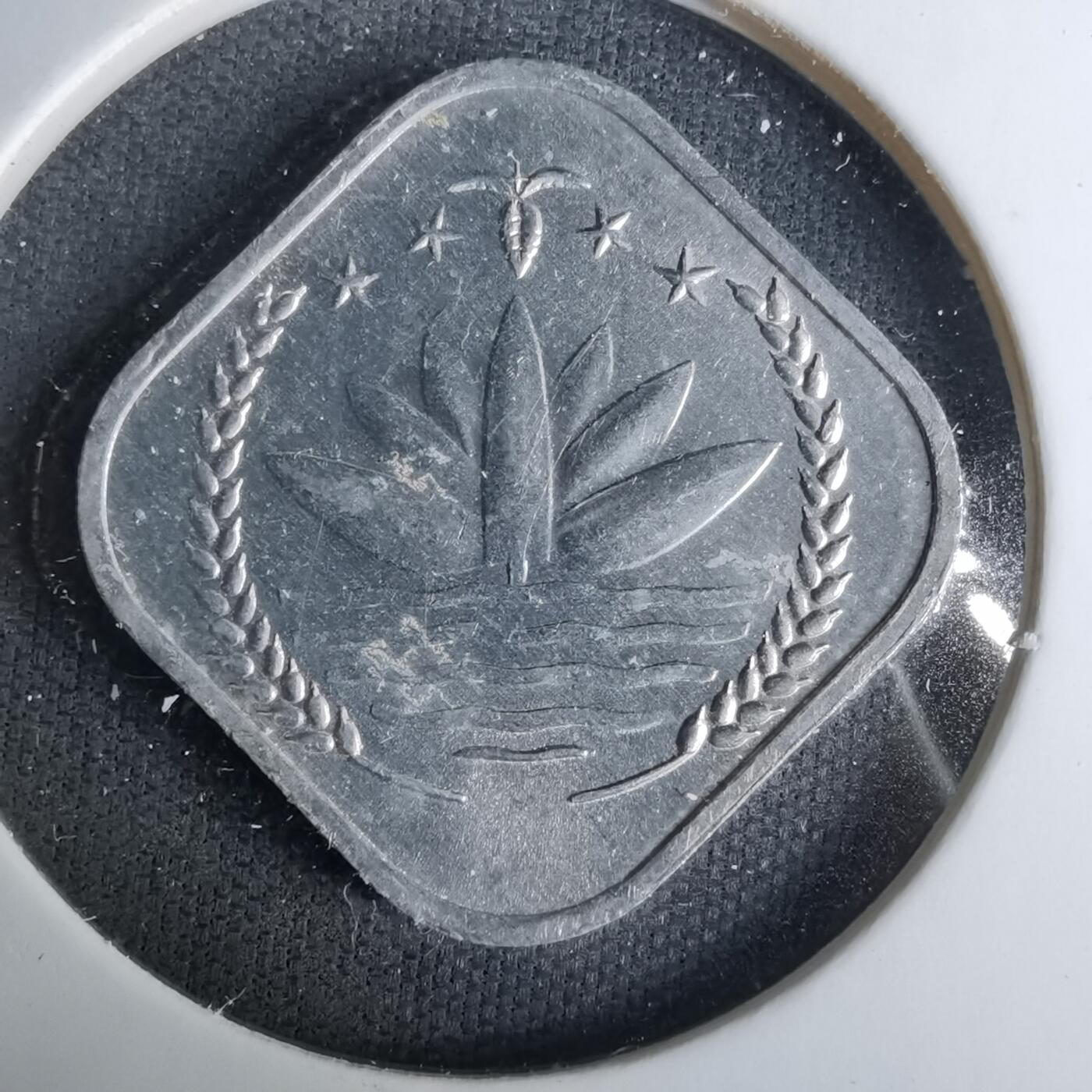 沼泽如烟--第1037场 孟加拉