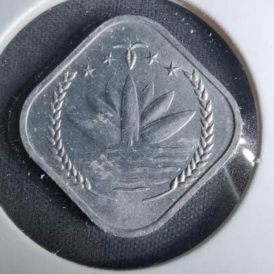 沼泽如烟--第1037场 - 孟加拉