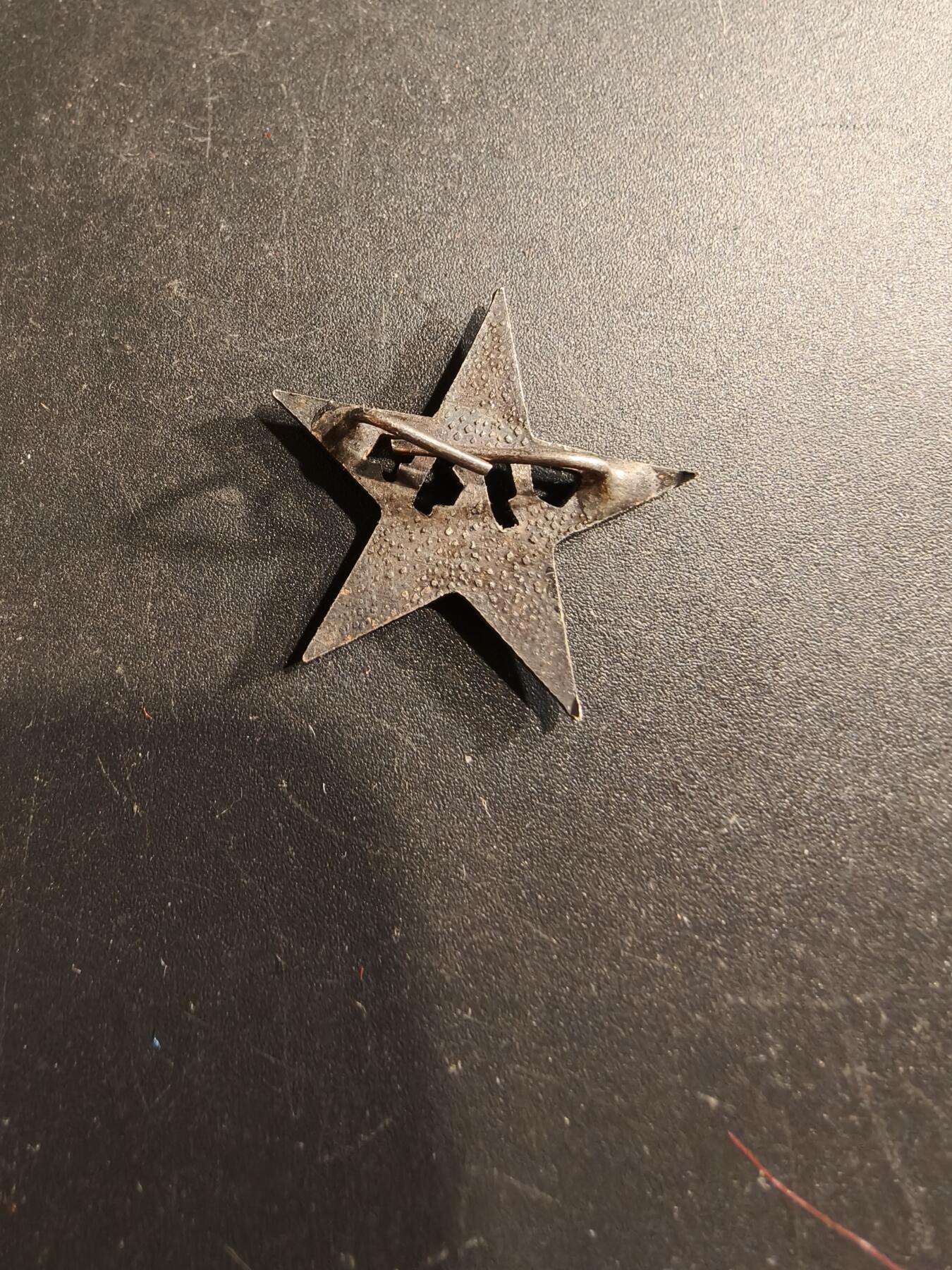 老王徽章第190期 法国证章