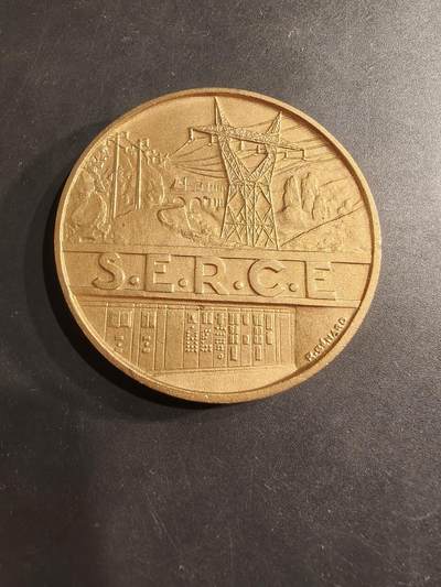 老王徽章第190期 - 法国电气网络、发电厂、公共与工业电气工程承包商联合会镀金大铜章     直径54mm     重量85.4g