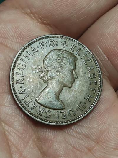 2026年第三十八场(总第二百零七场）外国好品散币场(免佣金) - 少见年份–英国🇬🇧1954年半便士(伊丽莎白二世青年桂冠第二版，首发年)