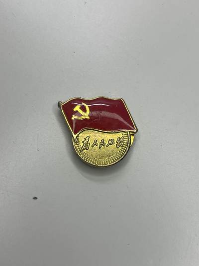 新时代收藏快速小拍 拍卖本周一线所得新货 3月29日场 - 党员证章 磁吸版 党徽丢了的朋友可以买 正版