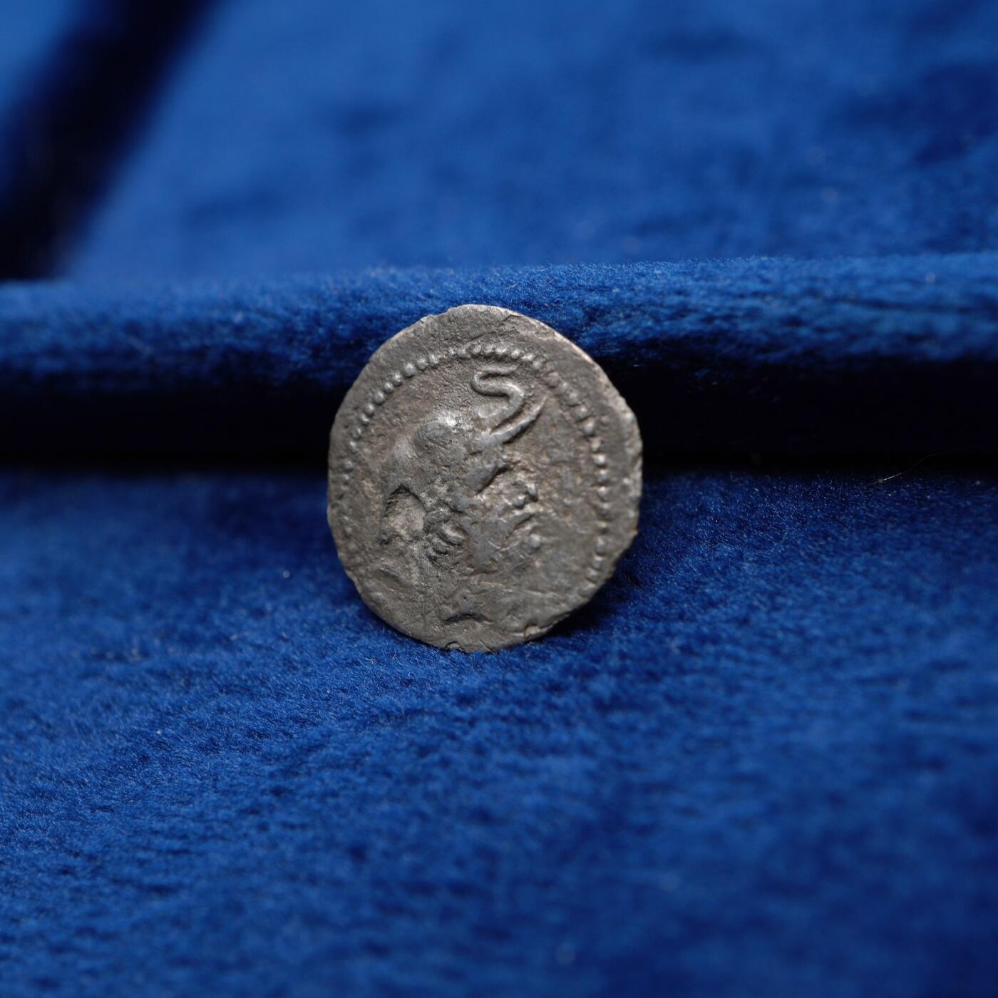 琋语集藏2026年04月欧洲古典打制币拍卖 古希腊巴克特里亚王国-德米特里乌斯一世象盔银币