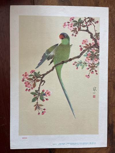 情怀旧藏儿时记忆经典收藏交流拍卖会 - 鹦哥海棠