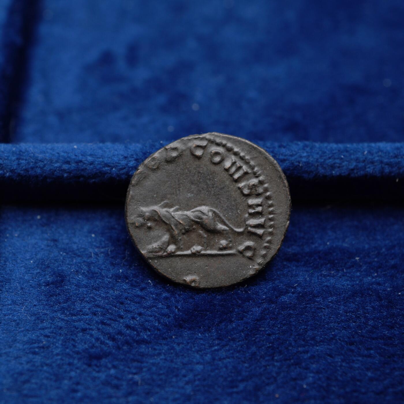 琋语集藏2026年04月欧洲古典打制币拍卖 古罗马帝国加里恩努斯-豹子铜币