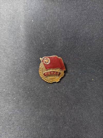 云宸嘉赏-勋臻文献佳藏优品精选场次（低佣 转发佣金红包） - 建国初期五十年代 共青团员团徽（早期厚底）做工精美 搭配五零/五五式绝佳 