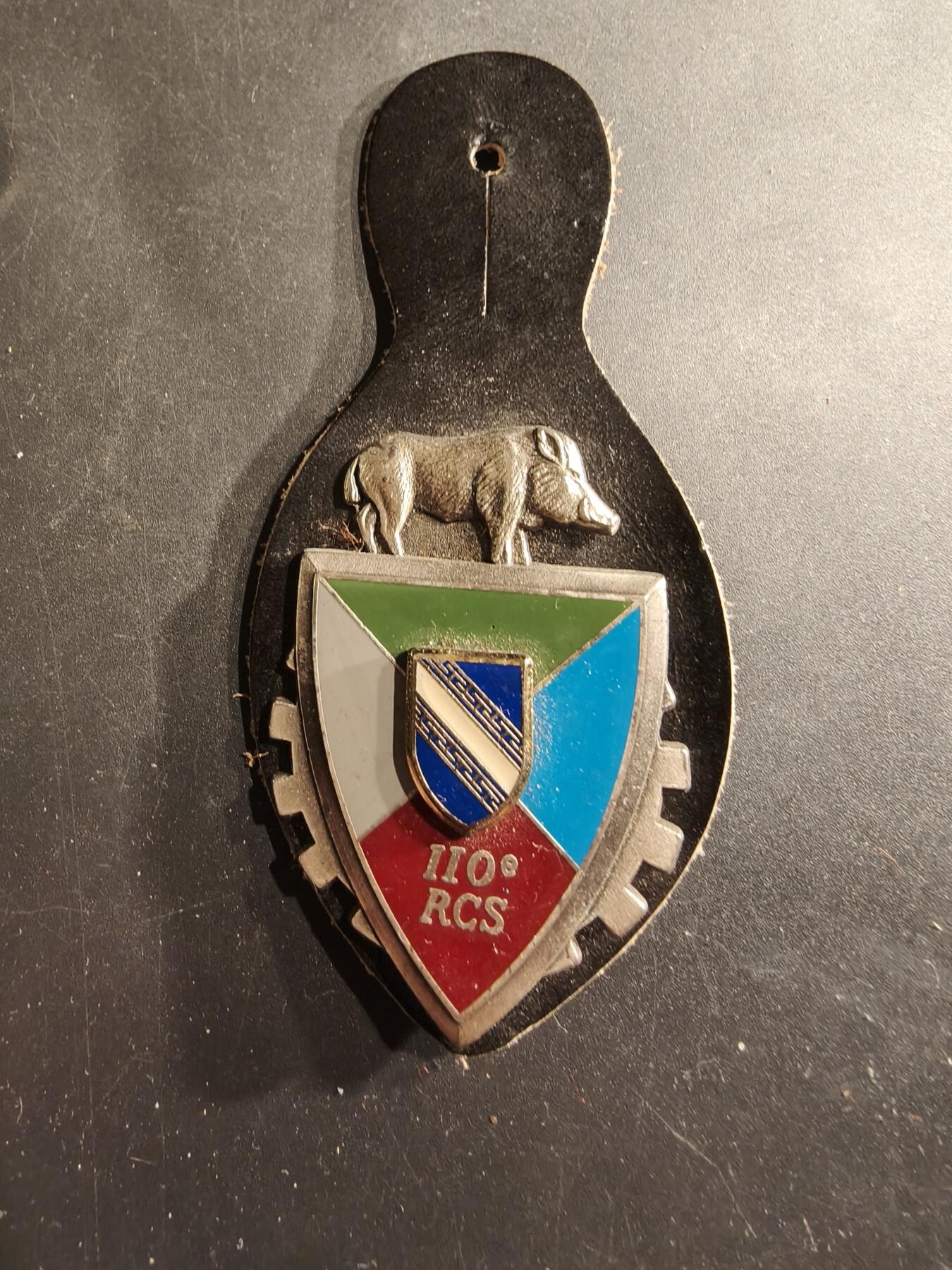 老王徽章第190期 法国陆军第110指挥与支援团证章