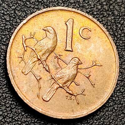 泉币菌-第217场-拍品多 请提前出价 - 铜光美品 麻雀 南非1979年1分青铜硬币 19毫米 3.0克 铜钱纪念币