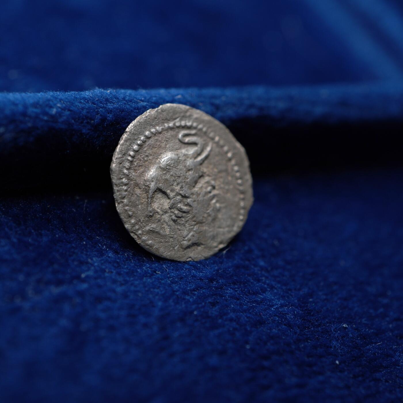 琋语集藏2026年04月欧洲古典打制币拍卖 古希腊巴克特里亚王国-德米特里乌斯一世象盔银币