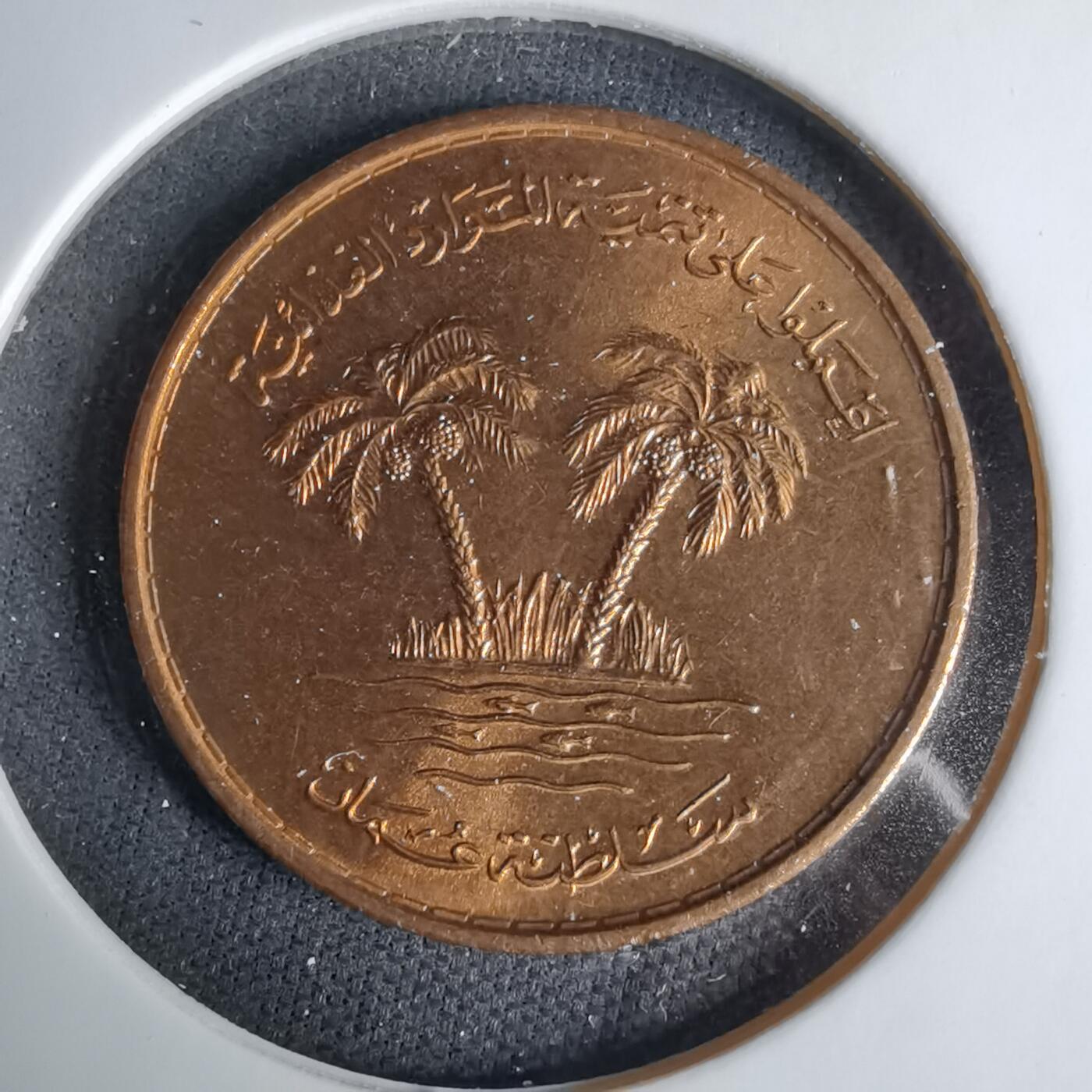 沼泽如烟--第1037场 阿曼