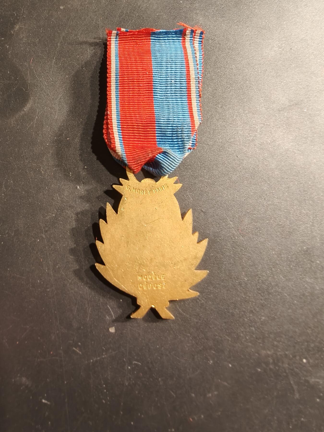 老王徽章第190期 法国金级音乐协会奖章