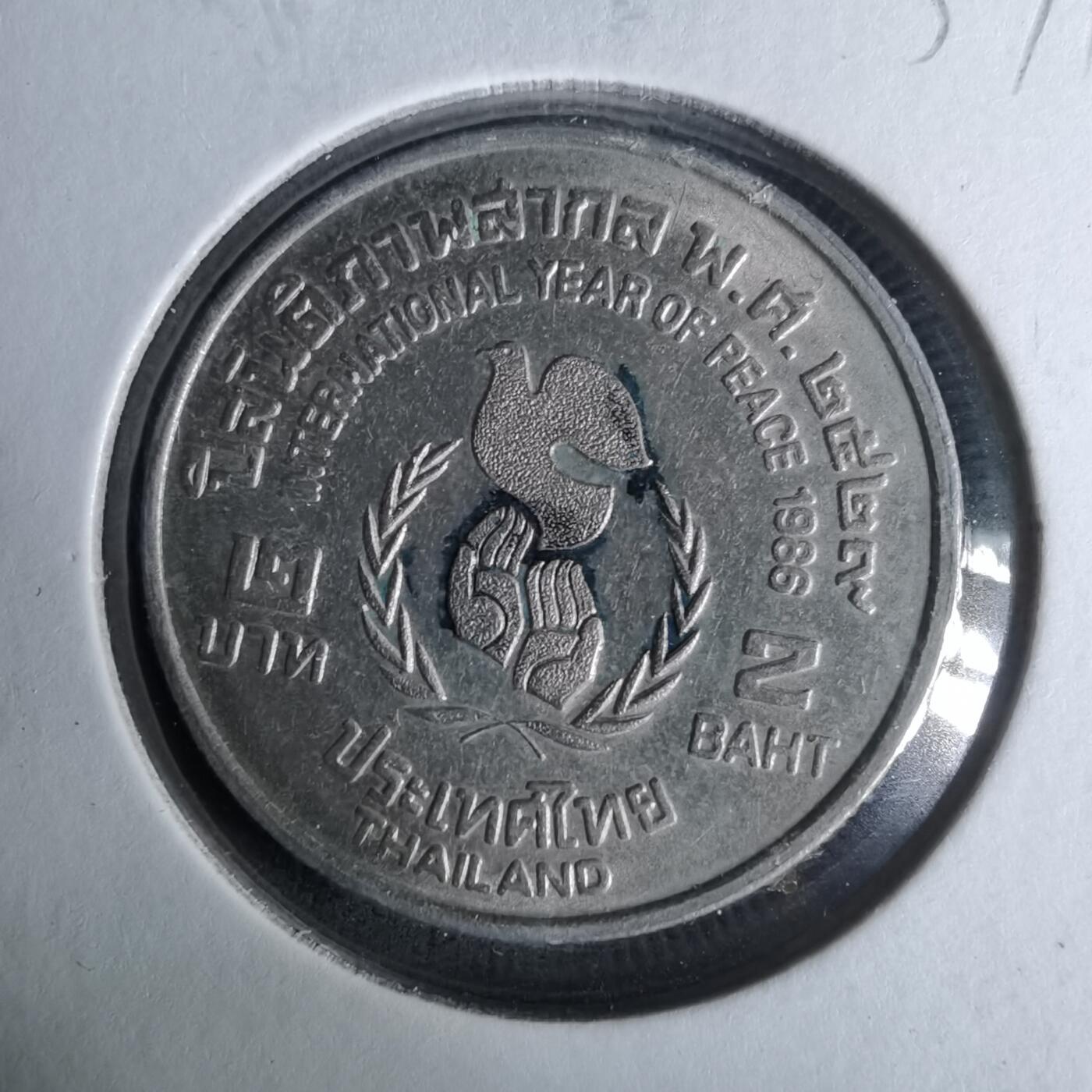 沼泽如烟--第1037场 泰国