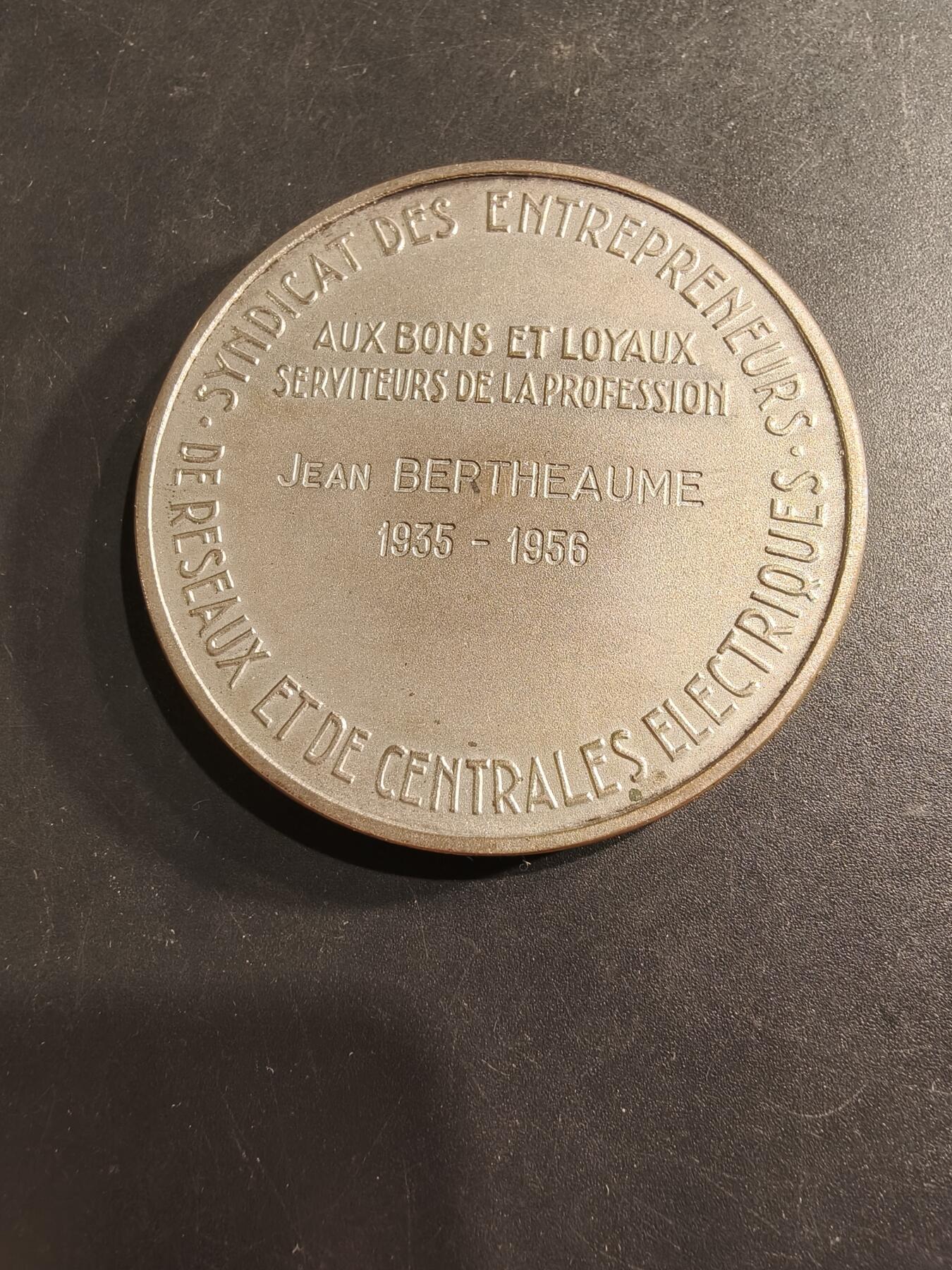 老王徽章第190期 法国电气网络、发电厂、公共与工业电气工程承包商联合会镀银大铜章      直径54mm     重量78.6g
