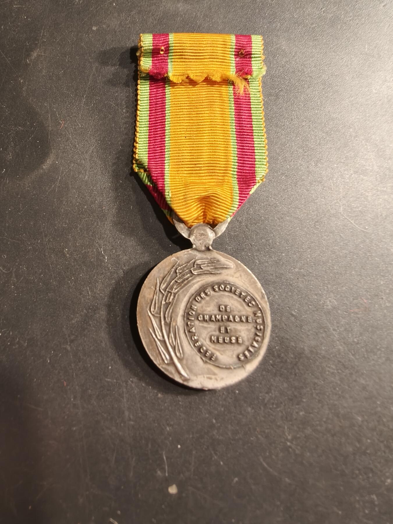 老王徽章第190期 法国香槟省音乐联合会纪念章