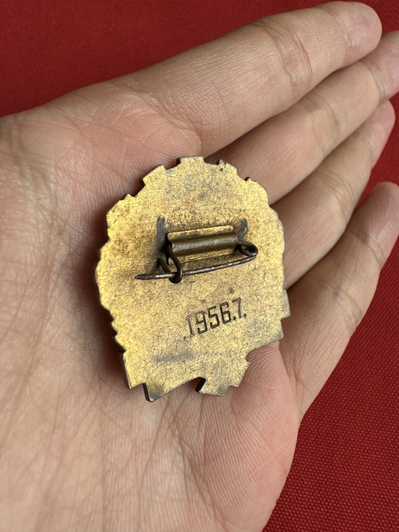 五哥徽章群   29号周日晚上八点4群联拍 铜章