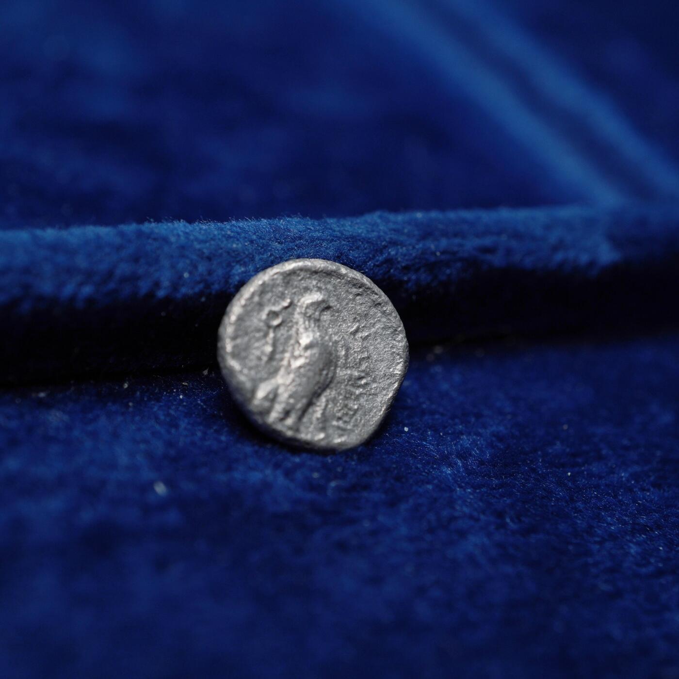 琋语集藏2026年04月欧洲古典打制币拍卖 古希腊巴克特里亚王国-雅典娜与雄鹰奥波银币