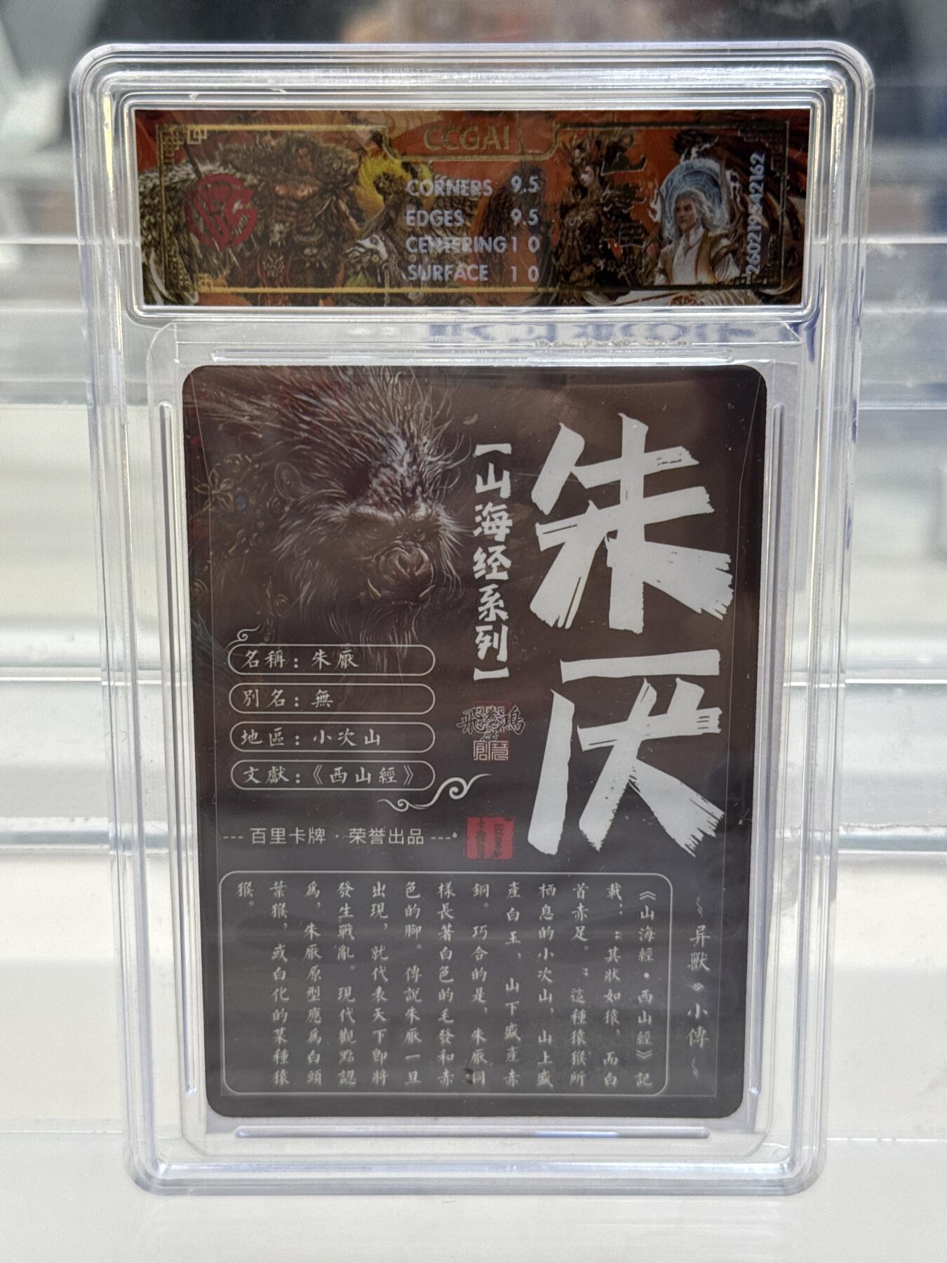 大麦马年第一场