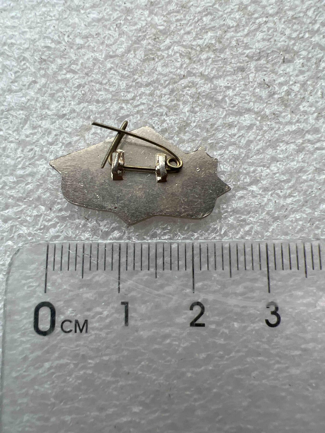 真品像章、纪念章 真品像章、纪念章