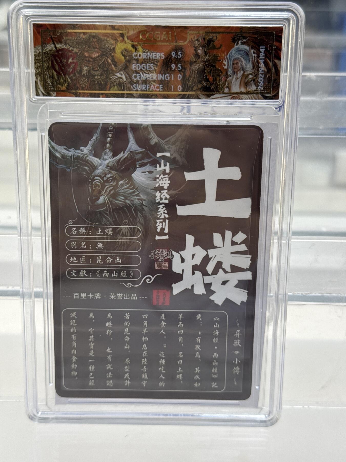 大麦马年第一场